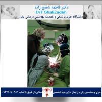 بیمار خانم ۴۱ ساله 2 بیمار خانم ۴۱ ساله 2