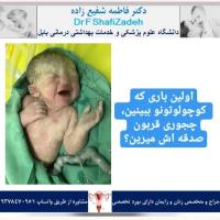 نیلا جان قدمت مبارک 2 نیلا جان قدمت مبارک 2