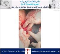 بیمارستان 1 بیمارستان 1