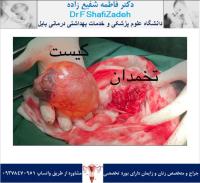 جراحی روز ۲ شهریور 3 جراحی روز ۲ شهریور 3