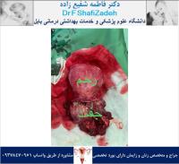 درجه همکاری 1 درجه همکاری 1
