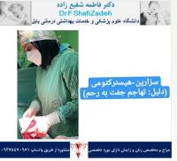 درجه همکاری 10 درجه همکاری 10