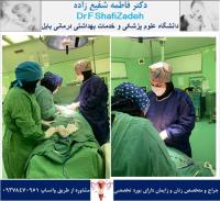چرخش تخمدان 2 چرخش تخمدان 2