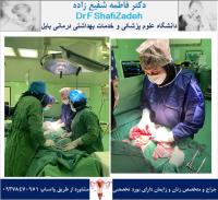 چرخش تخمدان 3 چرخش تخمدان 3